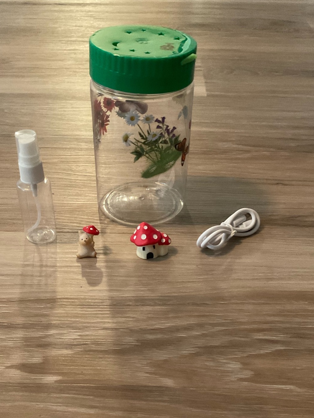 Nature Kids | Clear Floral terrarium with Green Lid